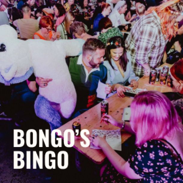 Bongo's Bingo at Salisbury City Hall